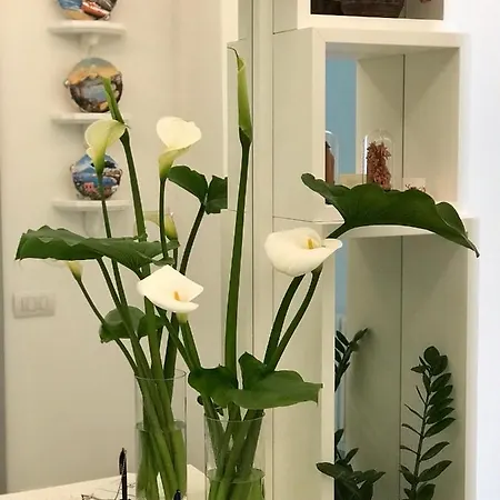 Al Parco Primavera 4* سورينتو